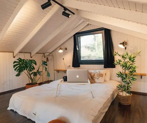 Lemoon House Sapanca